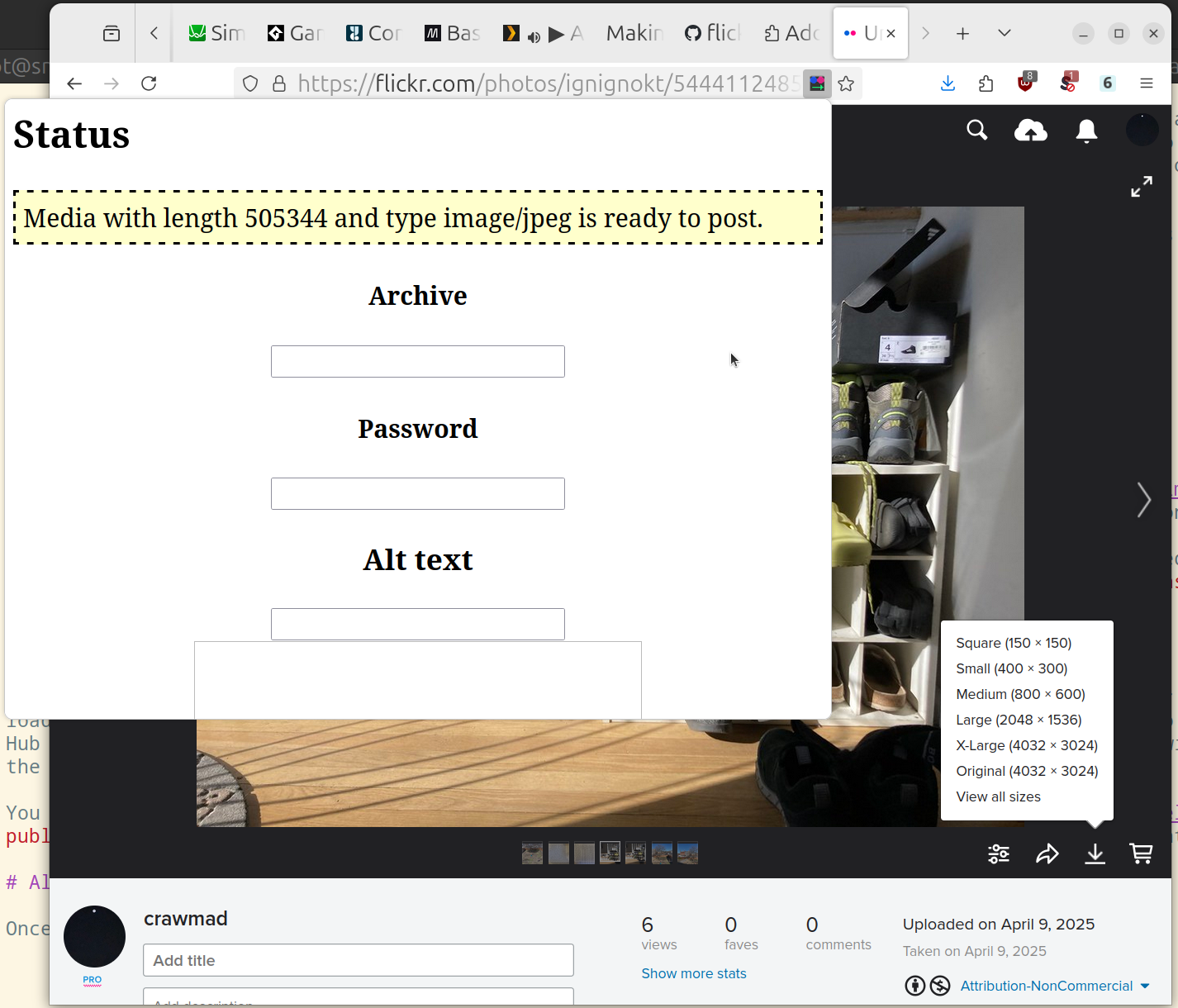 Flickr page with extension popup in front showing Archive, Password, and Alt text input field and status text about media being ready to post