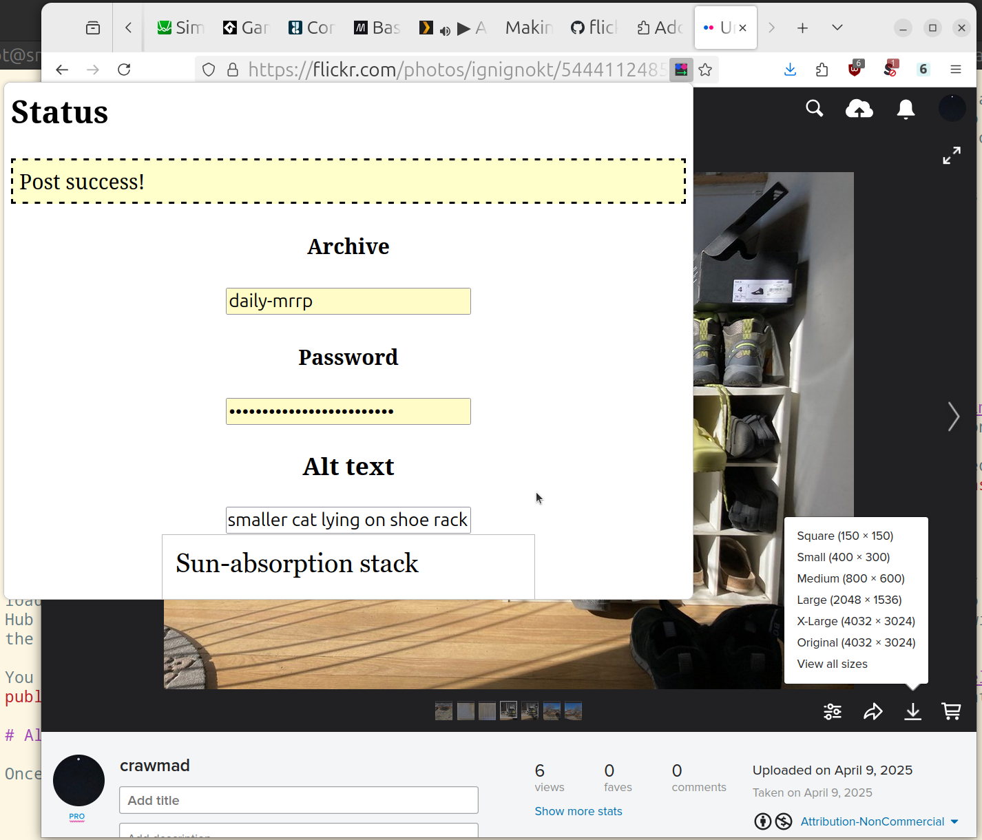 Flickr page with extension popup in front showing 'Post success!' status