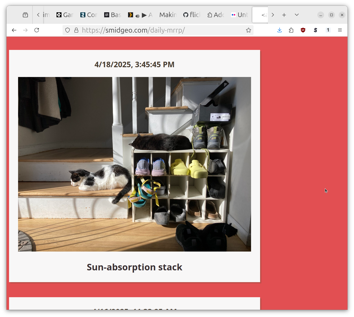 Daily Mrrp! page showing cats photo from Flickr page