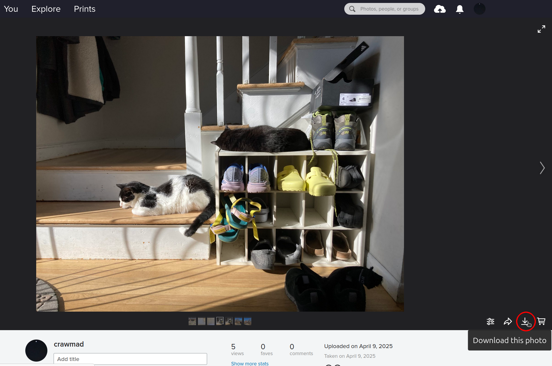 Flickr photo page with download button
